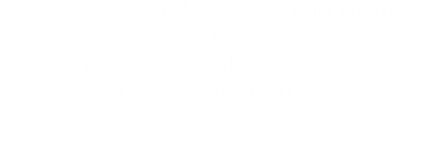 1. Cuerpo y escudo protector igual al EO
2. Sustrato de flujo libre
3. Capa protectora del sustrato
4. Cuerpo de acero inoxidable
5. Sensor de oxígeno
